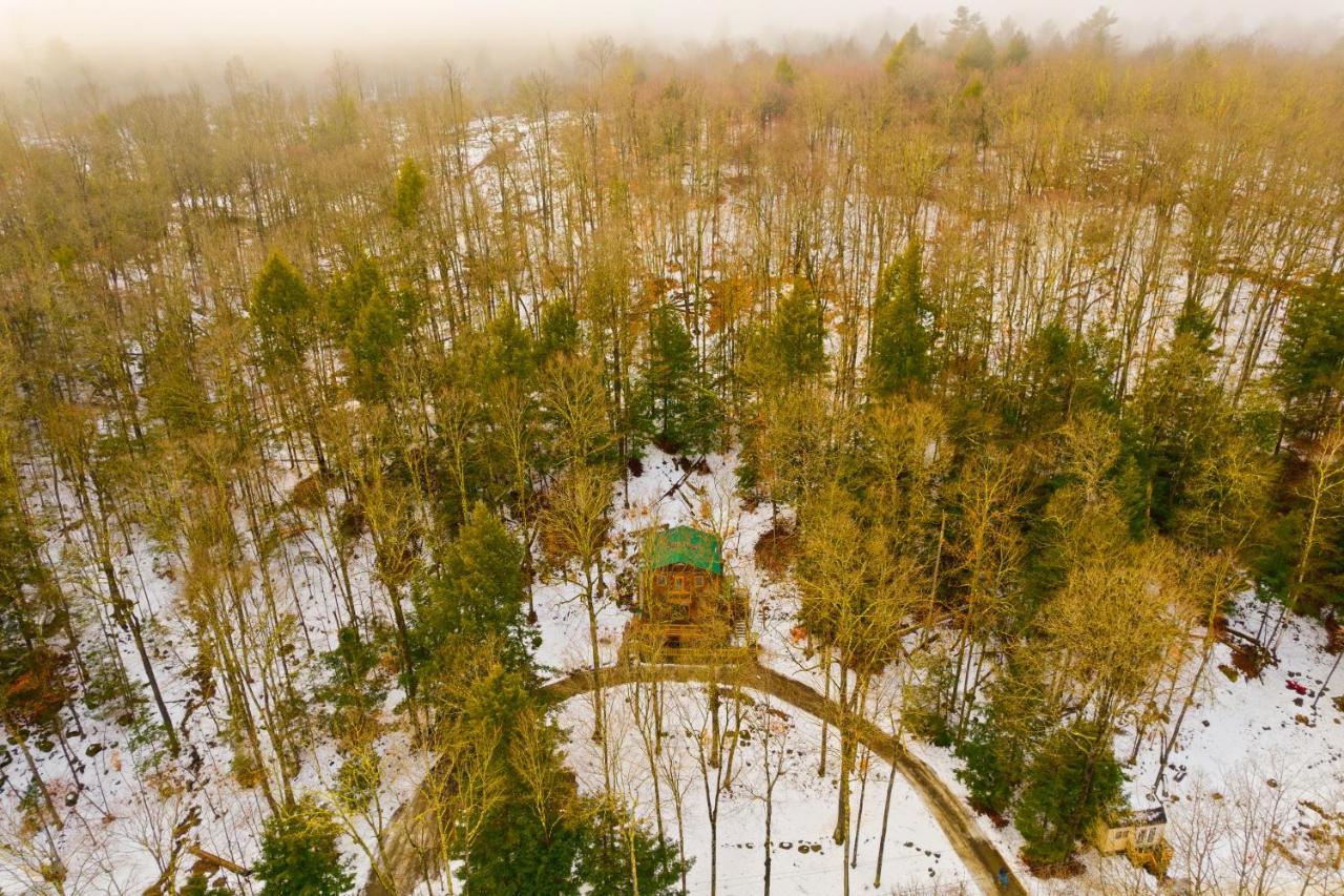 River Road Treehouse Retreat Warrensburg Exteriör bild